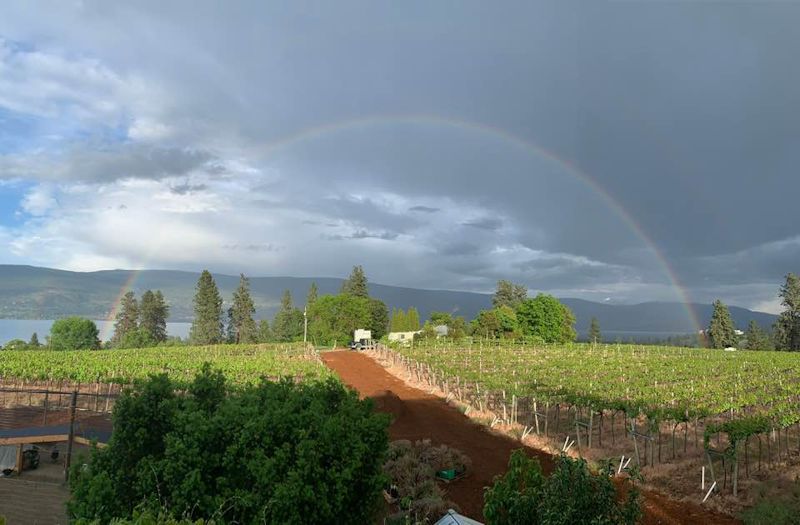 Giant Head Winery